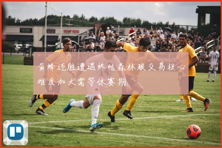 黄蜂连胜遭遇终结森林狼交易核心难度加大需等休赛期