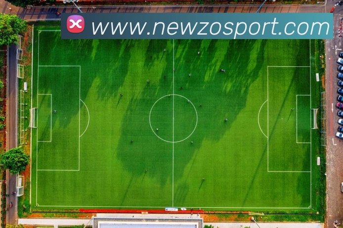 中欧体育平台生态图